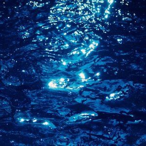 Meet your Posher, Gianna